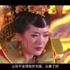铁树开花打一肖是什么动物